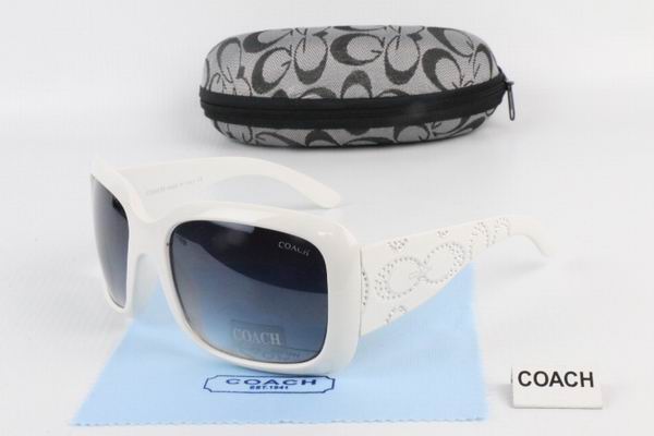 C0ACH Boutique Sunglasses 023